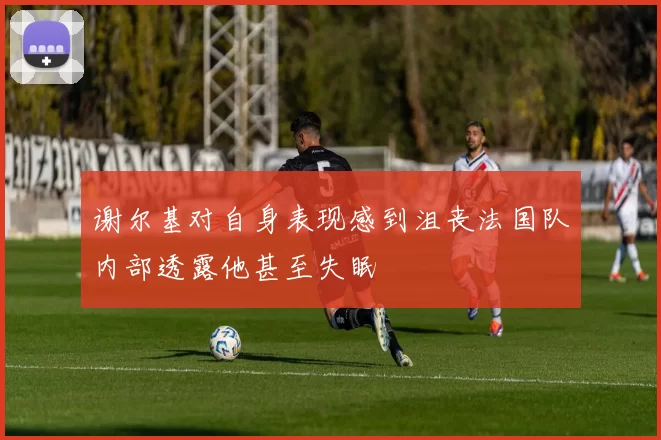 谢尔基对自身表现感到沮丧法国队内部透露他甚至失眠