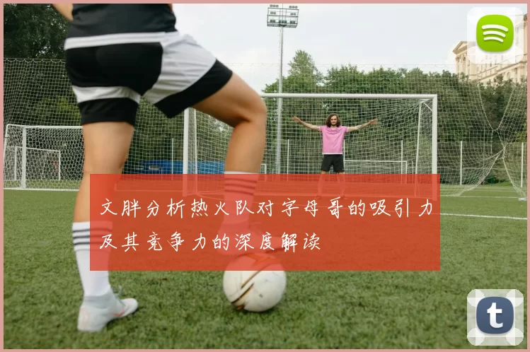 文胖分析热火队对字母哥的吸引力及其竞争力的深度解读